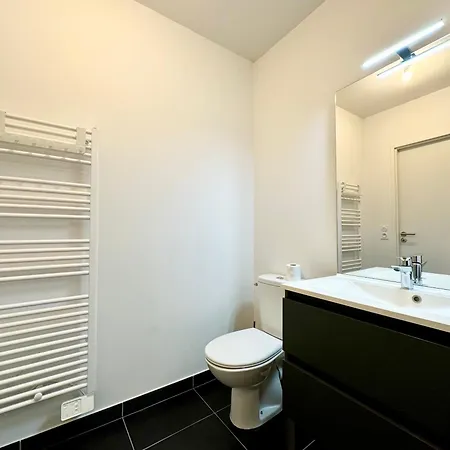 L'emeraude - Proche Hopital - Parking - Clim - Fibre - Terrasse דירה